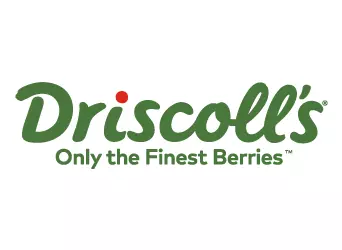 Driscoll's ChilePromo.cl Regalos Corporativos