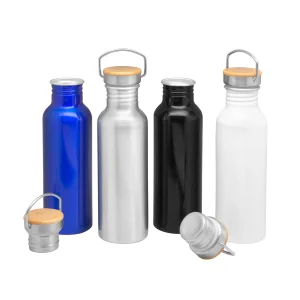 Botella de Aluminio Armin con logo para Empresas | Botellas Personalizadas | Regalos Corporativos ChilePromo | T641-01