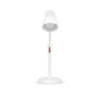 Lámpara Led Pixie con logo para Empresas | Linternas y Lámparas | Regalos Corporativos ChilePromo | G256-01