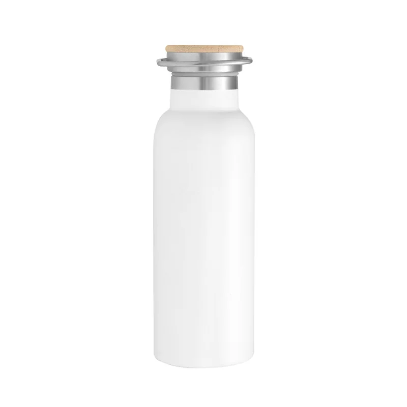 Botella Térmica Sasha 550 ml con logo para Empresas | Mugs y Termos | Regalos Corporativos ChilePromo | T679-01